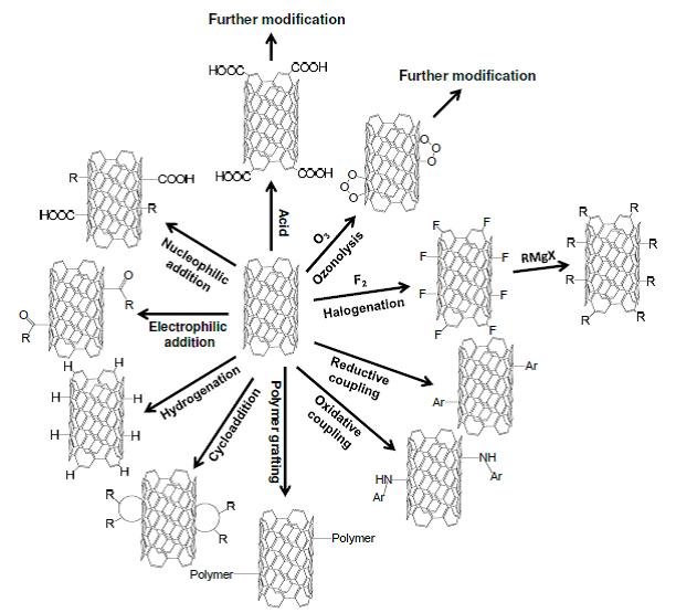 Functional Modification on Carbon Nanotubes(CNTs) Surface